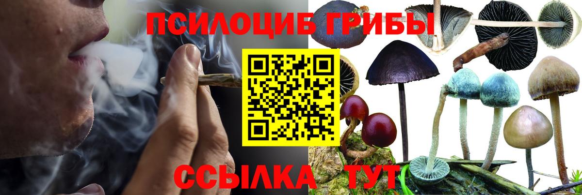 Галлюциногенные грибы GOLDEN TEACHER  Вход с VPN  Кинешма 